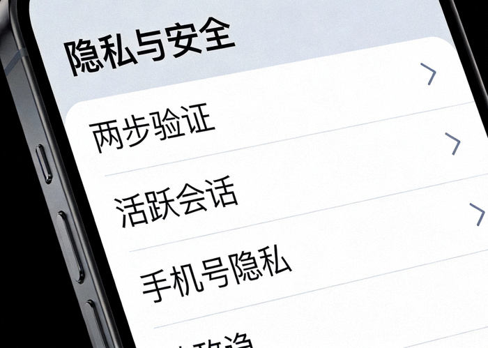 Telegram中文版隐私与安全设置界面截图，展示了两步验证、活跃会话、手机号隐私等选项